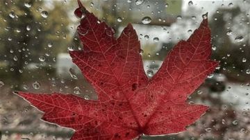 الكتل الحارة تبدأ بالانكفاء الاثنين... ومنخفض جوي ممطر وسريع يوم الثلاثاء