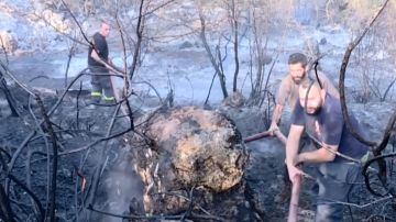 الحرائق تلتهم الشوف: خسائر هائلة ومطالبة بالتعويض