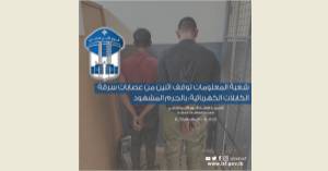 قوى الأمن: توقيف اثنين من عصابات سرقة الكابلات الكهربائية بالجرم المشهود