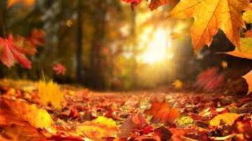 طقس خريفي مستقر بانتظارنا... ماذا عن درجات الحرارة؟ طقس خريفي مستقر بانتظارنا... ماذا عن درجات الحرارة؟