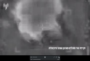 الجيش الإسرائيلي ينشر فيديو لاستهداف عنصرين في حزب الله