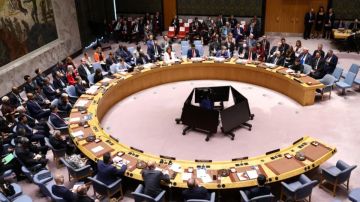 خطة السلام في غزة على طاولة مجلس الأمن