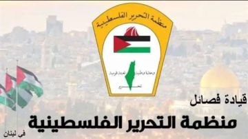 فصائل المنظمة في لبنان: التضامن الدولي يجب أن يتحول إلى خطوات لوقف العدوان