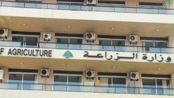 وزارة الزراعة ومنظمة الأغذية تطلقان مشروعين جديدين