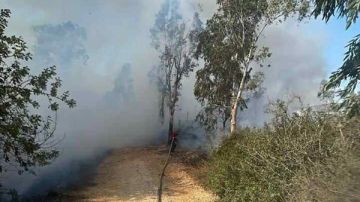 خبير بيئي يدق ناقوس الخطر: نحن في مرحلة حرجة!