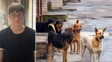 في مدينة صور: كلب يهاجم طالبا في الطريق الى مدرسته ويعضه بشكل خطير، والعلاجات مفقودة في صور! في مدينة صور: كلب يهاجم طالبا في الطريق الى مدرسته ويعضه بشكل خطير، والعلاجات مفقودة في صور!