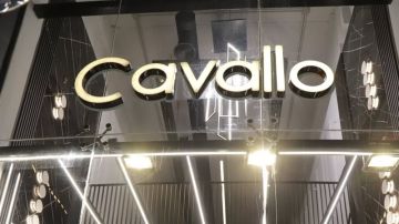 إفتتاح حاشد لمحل Cavallo في صور.. عنوان الأناقة الرجالية في عالم الألبسة إفتتاح حاشد لمحل Cavallo في صور.. عنوان الأناقة الرجالية في عالم الألبسة