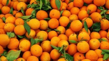 تفاصيل مهمة عن عصير البرتقال.. فوائد رائعة