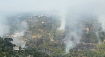 رئيس بلدية بكاسين للنشرة: الحريق في البلدة لم يصل إلى غابة الصنوبر وسيطرنا على 80 بالمئة منه