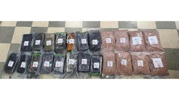 إحباط محاولة إدخال كمية من المخدرات الى لبنان