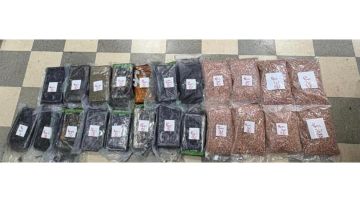 سيارة محملة بالمخدرات... من أوروبا إلى لبنان!