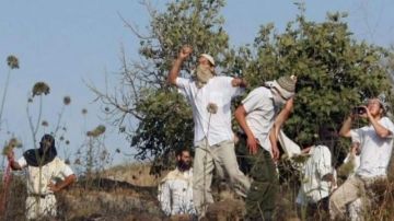 آخر التطورات الميدانية في فلسطين المحتلة آخر التطورات الميدانية في فلسطين المحتلة