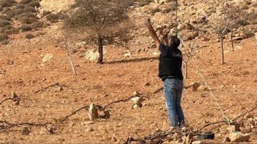 ملاحقة الصيد الجائر وضبط شباك تتسبب بمقتل الطيور المهاجرة وتوقيف 3 مخالفين... والأمن يطلب مساعدتكم! (صورة)