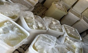 ضبط أجبان سورية مهربة في صيدا (صورة)