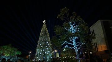 تنافس فريد من نوعه بين المناطق... وانتظروا المفاجآت! تنافس فريد من نوعه بين المناطق... وانتظروا المفاجآت!