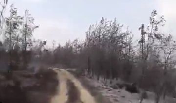 بالفيديو- مشاهد صادمة.. هكذا بدا إقليم الخروب بعد إخماد النيران!