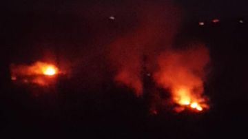 حريق المطلة والجليلية يتواصل... ومناشدات للمساعدة حريق المطلة والجليلية يتواصل... ومناشدات للمساعدة