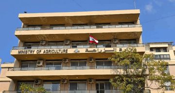 وزارة الزراعة أطلقت برنامج توزيع غراس الزيتون على المسجلين في السجل الزراعي