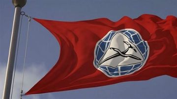 إلى المغتربين.. نداء من الإشتراكي