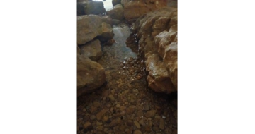 مياه الجنوب للمستفيدين من مشروع نبع الطاسة: منسوب المياه بأدنى مستوياته ويجب ترشيد الاستهلاك مياه الجنوب للمستفيدين من مشروع نبع الطاسة: منسوب المياه بأدنى مستوياته ويجب ترشيد الاستهلاك