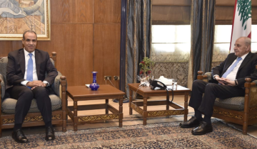 بري يستقبل وزير الخارجية المصري ويبحث تعزيز الاستقرار اللبناني