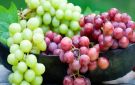 بين العنب الأحمر والأخضر.. أيهما أفضل؟