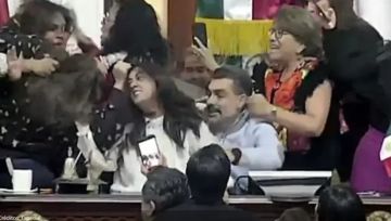 بالفيديو- شد شعر وتبادل لكمات الشفافية توقع بين برلمانيات مدينة مكسيكو