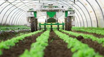 اتحاد نقابات المزارعين: انتشار الحمى القلاعية تحد يستدعي تعاونا وطنيا اتحاد نقابات المزارعين: انتشار الحمى القلاعية تحد يستدعي تعاونا وطنيا