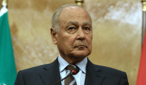 أبو الغيط: على الأمة العربية توظيف إمكاناتها لإسناد الشعب الفلسطيني