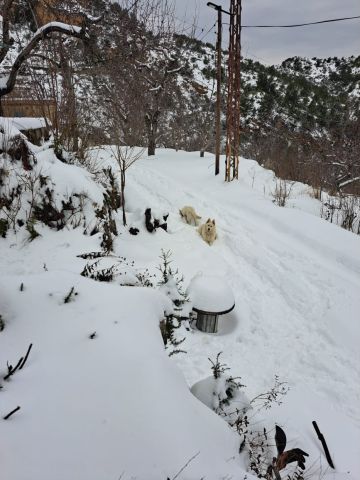 منخفضات جوية تصل تباعا الى لبنان: أمطار متفرقة وعواصف رعدية وثلوج على 1300 متر