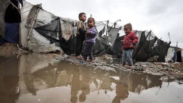 الإعلامي الحكومي : كارثة إنسانية في غزة مع اشتداد المنخفض الجوي وانهيار منازل النازحين الإعلامي الحكومي : كارثة إنسانية في غزة مع اشتداد المنخفض الجوي وانهيار منازل النازحين