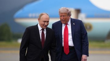 الكرملين: ترامب عبر عن صدمته وغضبه من محاولة كييف استهداف مقر إقامة بوتين الكرملين: ترامب عبر عن صدمته وغضبه من محاولة كييف استهداف مقر إقامة بوتين