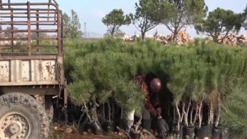  خالدون في قلوبنا حملة تشجير بأسماء شهداء بلدة زبقين الجنوبية (تقرير)