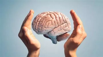 بروتين قد يحمي الدماغ من مرض الزهايمر.. اليكم آخر ما توصل اليه العلماء