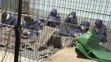 إعلام الأسرى: الاحتلال يحتجز 32 أسيرا من غزة رغم انتهاء محكومياتهم إعلام الأسرى: الاحتلال يحتجز 32 أسيرا من غزة رغم انتهاء محكومياتهم