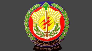 أمن الدولة يكشف عملية استيلاء على عقارات في مرجعيون ويوقف الفاعل