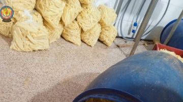 بعد انبعاث روائح كريهة... أمن الدولة تقفل مستودعا