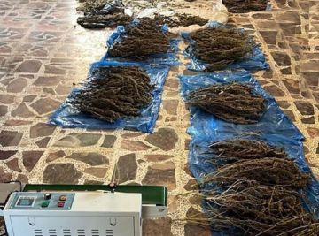 الجيش ضبط معملا لتصنيع المخدرات ببلدة بوداي بعلبك واوقف أحد مروجي العملة المزورة عند نقطة المصنع الحدودية