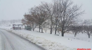 التحكم المروري: طريق عيناتا- الأرز مقطوعة أمام جميع المركبات بسبب تراكم الثلوج التحكم المروري: طريق عيناتا- الأرز مقطوعة أمام جميع المركبات بسبب تراكم الثلوج