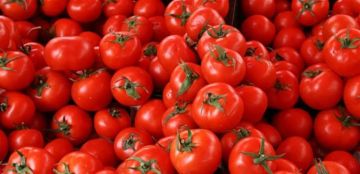 بينها البندورة سوريا توقف إستيراد منتجات زراعية بينها البندورة سوريا توقف إستيراد منتجات زراعية