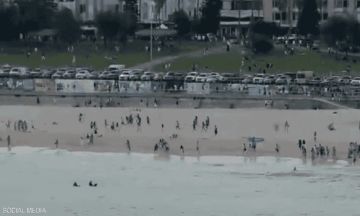 مفتي أستراليا: لن يكون هناك أي تصعيد بعد الحادثة مفتي أستراليا: لن يكون هناك أي تصعيد بعد الحادثة