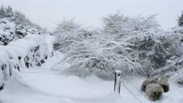 لبنان على موعد مع منخفض جوي ثالث يبدأ اليوم