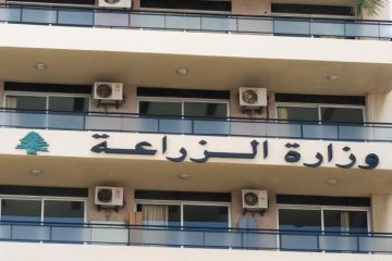 بشأن الحمى القلاعية تطمينات من الزراعة وخطة لاحتواء انتشارها