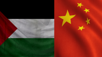 الصين تعلن تقديم 100 مليون دولار لتخفيف الأزمة الإنسانية في غزة