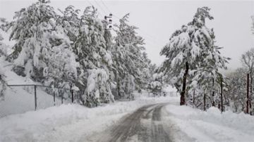 أسبوع شتوي عاصف يقترب من لبنان أمطار غزيرة ورياح قوية وانخفاض لافت بدرجات الحرارة