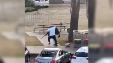 من هو البطل الذي تصدى لمنفذي هجوم سيدني؟