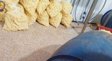 بعد انبعاث روائح كريهة.. أمن الدولة يختم مستودعا لتقطيع البطاطا وتوضيبها بالشمع الأحمر بعد انبعاث روائح كريهة.. أمن الدولة يختم مستودعا لتقطيع البطاطا وتوضيبها بالشمع الأحمر