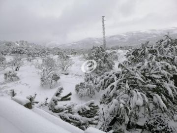 التحكم المروري: عدد من الطرقات الجبلية مقطوعة بسبب تساقط الثلوج