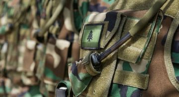 المنار: الميكانيزم طلبت من الجيش اللبناني ابعاد جرافة كانت تعمل على جرف ركام منتزه مدمر في طيرفلسيه