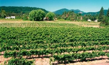 جمعية بعلبك والجوار تواصل برامجها الزراعية لتعزيز مهارات المزارعين في القرى البقاعية (تقرير)